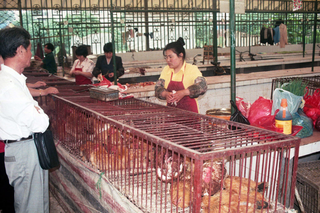 an outside market with animals in cages
